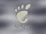 Gnome६