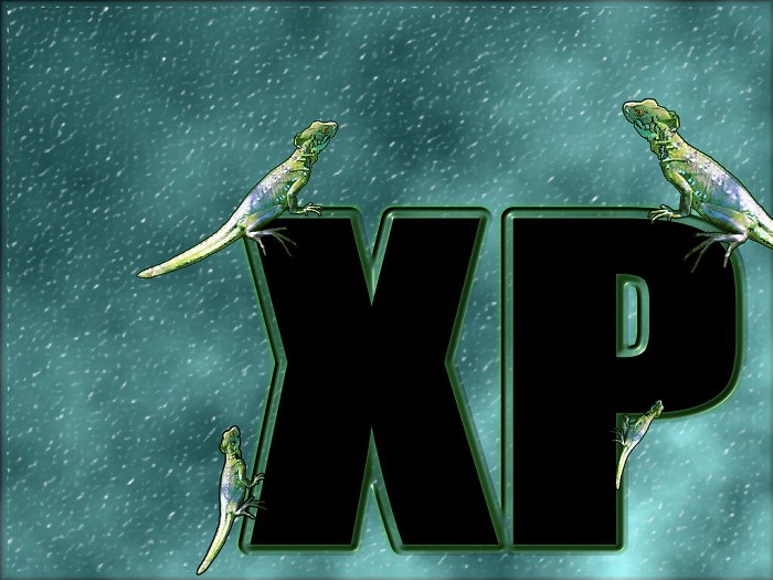 XP६