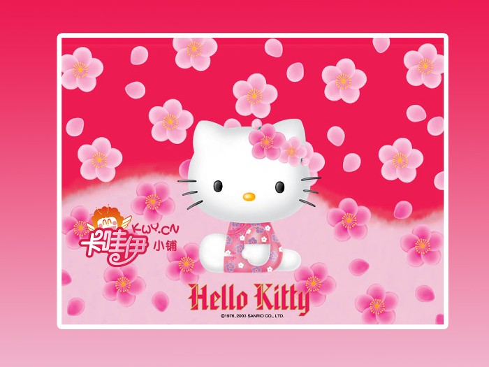 Hello KittyM