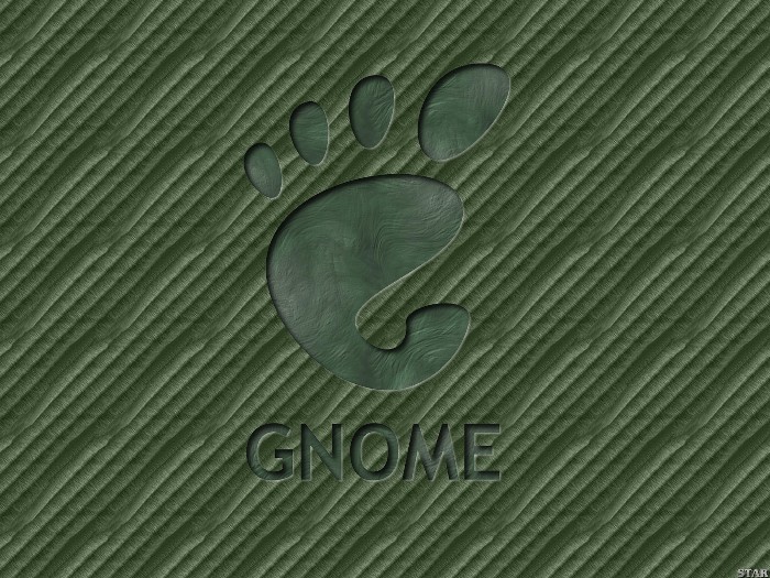 Gnome६