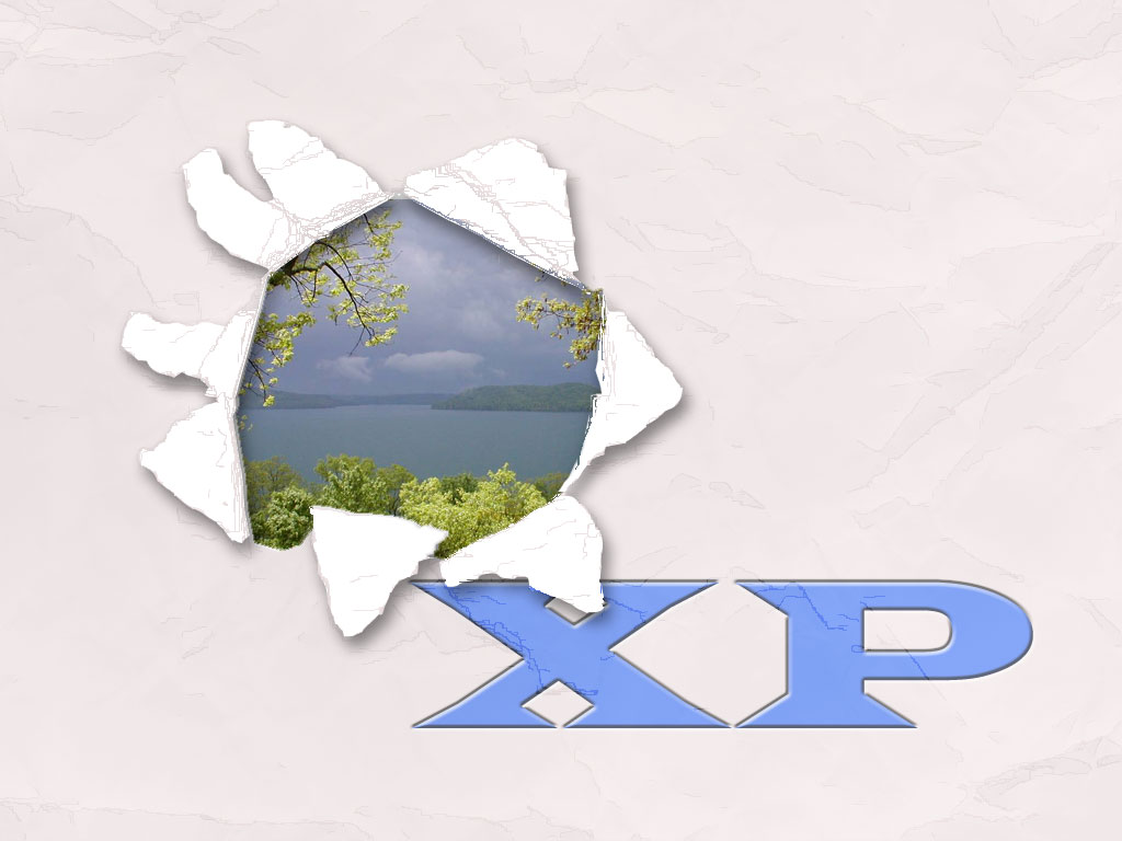 XP६