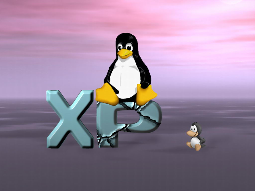 XP६