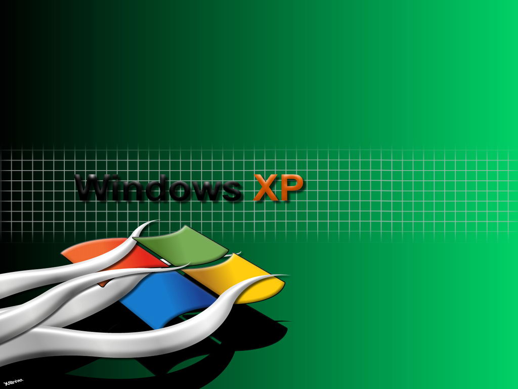 XP६