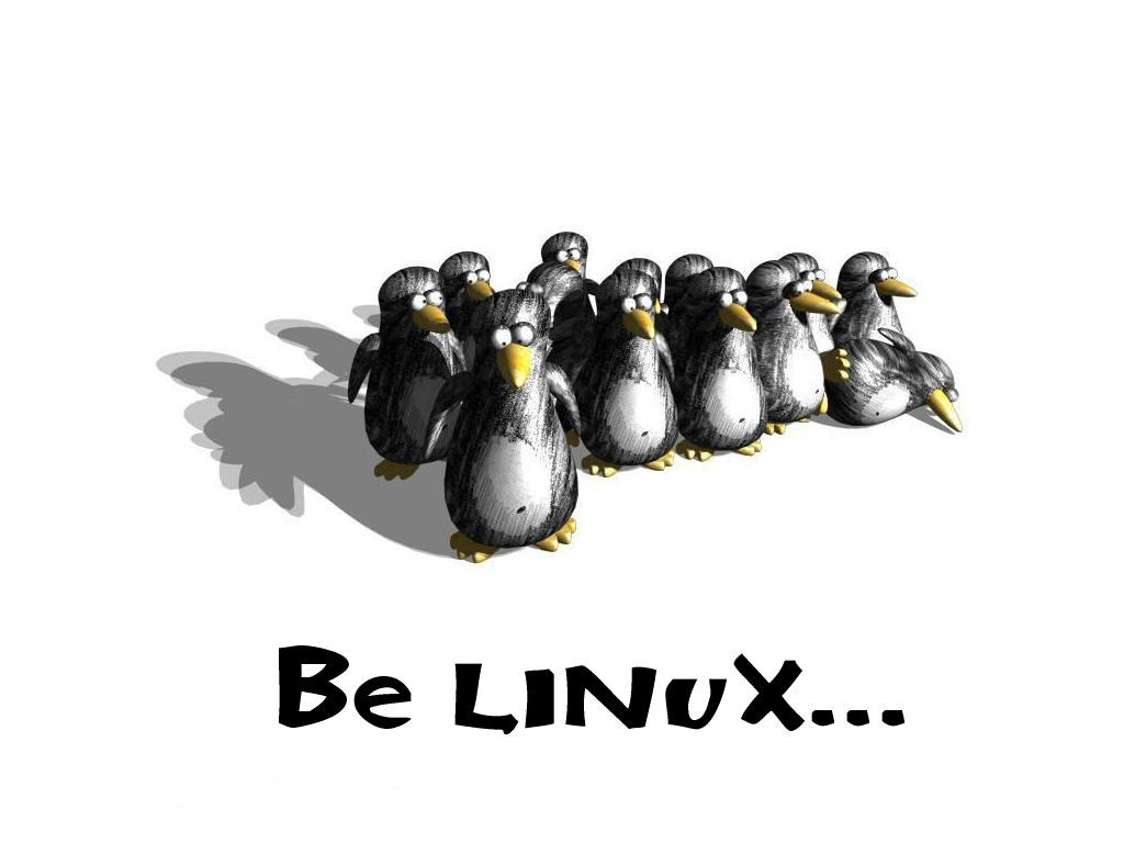 LinuxDD६