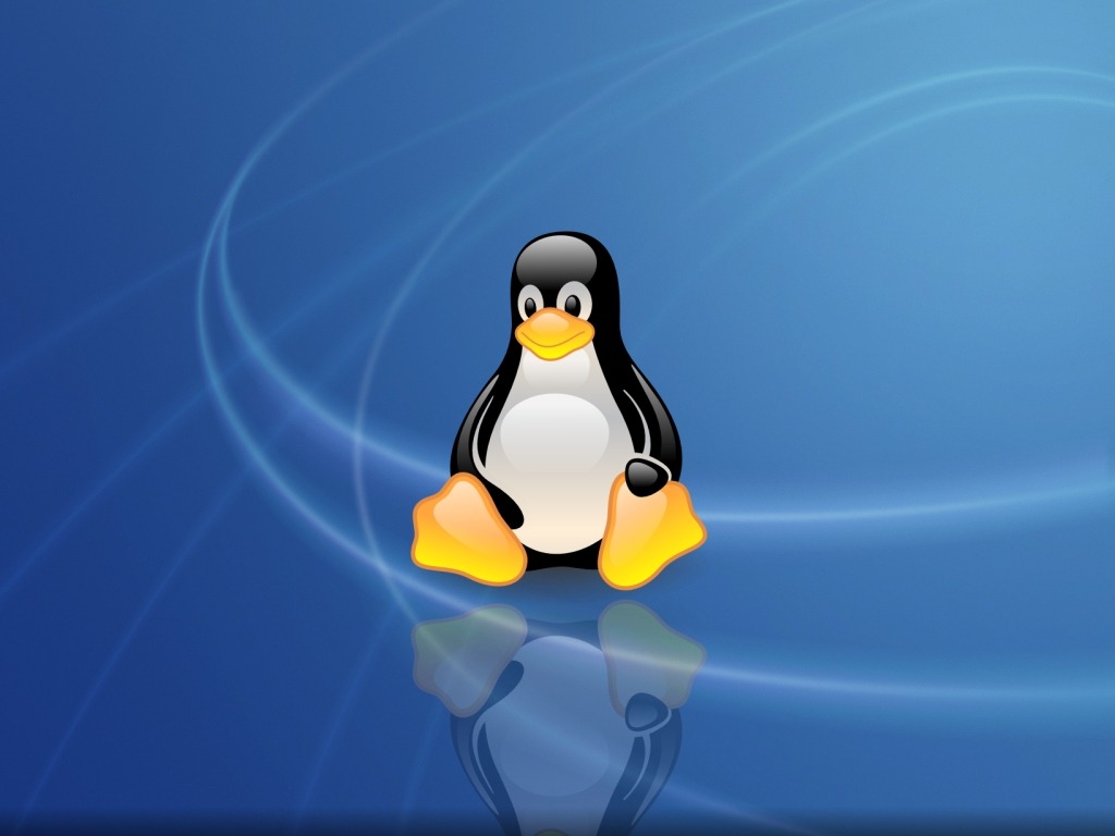 LinuxDD६